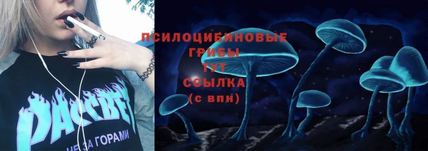 прущий лед Аркадак