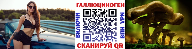 Псилоцибиновые грибы GOLDEN TEACHER  закладки  Кинель 